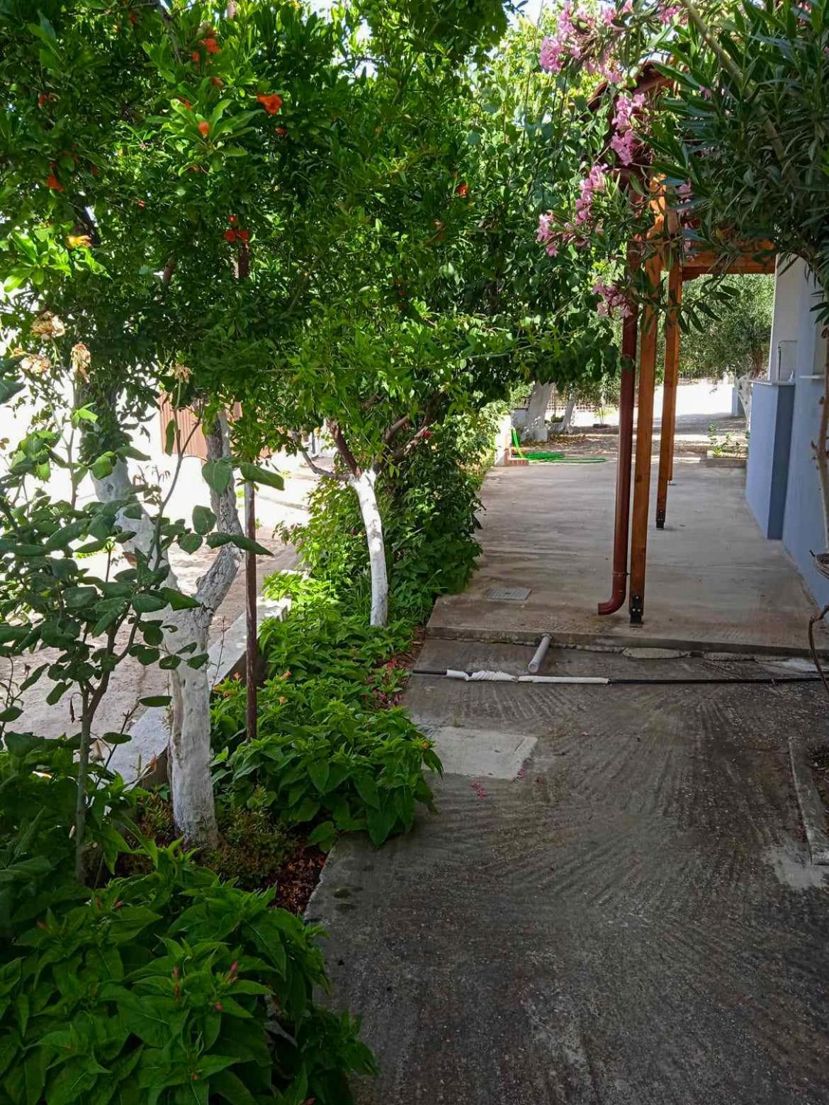 Κυανή Ακτή - Agia Paraskevi Makri Dış mekan fotoğraf