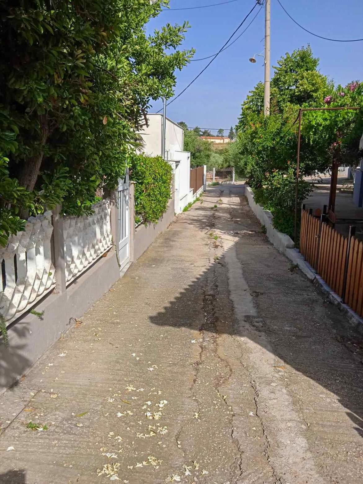 Κυανή Ακτή - Agia Paraskevi Makri Dış mekan fotoğraf