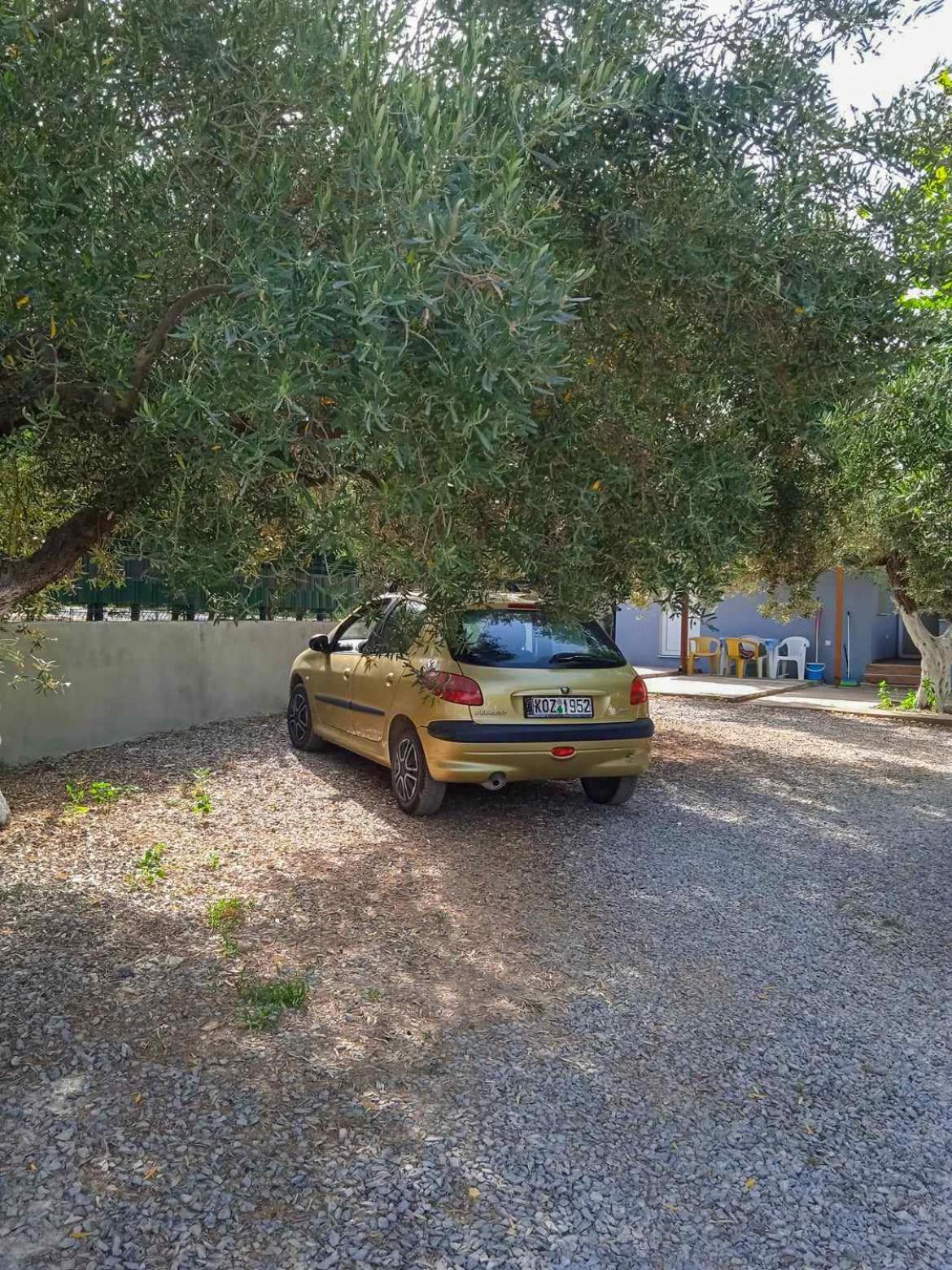 Κυανή Ακτή - Agia Paraskevi Makri Dış mekan fotoğraf