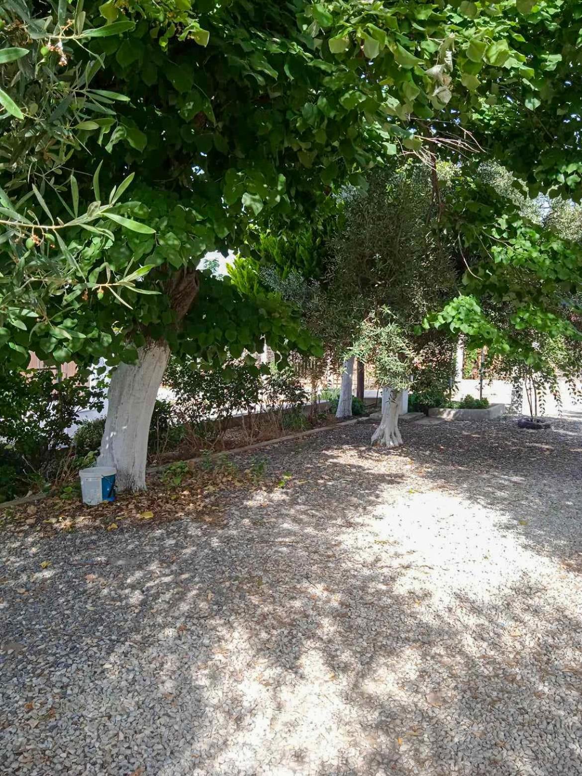 Κυανή Ακτή - Agia Paraskevi Makri Dış mekan fotoğraf
